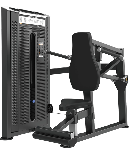 FONDO DE TRÍCEPS EQ026