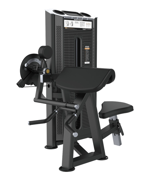 BÍCEPS Y TRÍCEPS EQ087