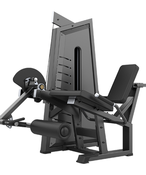 EXTENSIÓN DE CUÁDRICEPS SP002