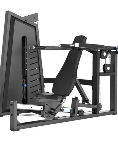 PECHO Y HOMBROS SP084