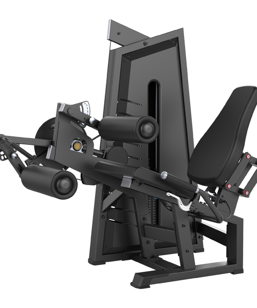 EXTENSIÓN Y FEMORAL SENTADO SP086