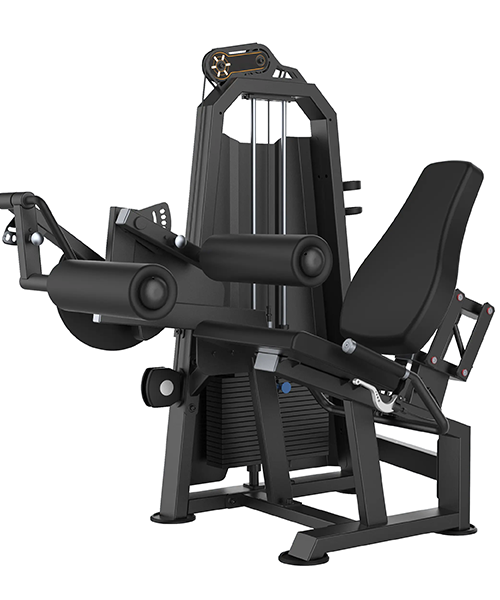 FEMORAL SENTADO T1023