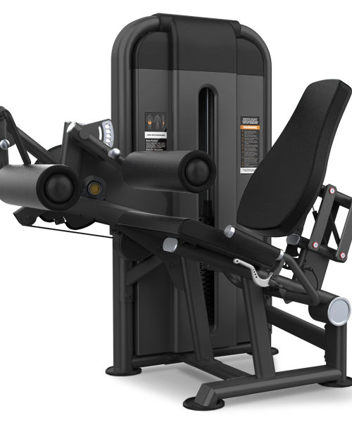 EXTENSION Y FEMORAL SENTADO U2086D 110KG