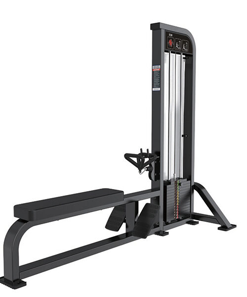 POLEA BAJA CON PLACAS TF012A – 100 KG