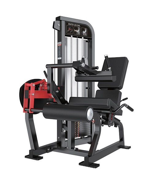 FEMORAL SENTADO CON PLACAS TF013 – 100 KG