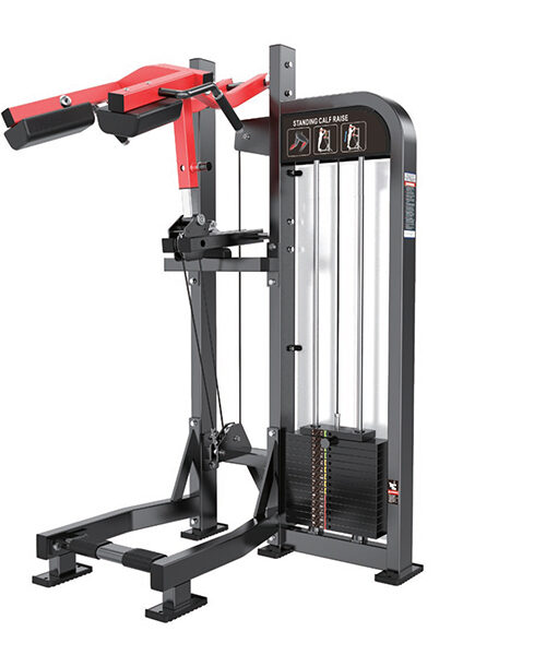 PANTORRILLERA PARADA CON PLACAS TF017 – 100 KG